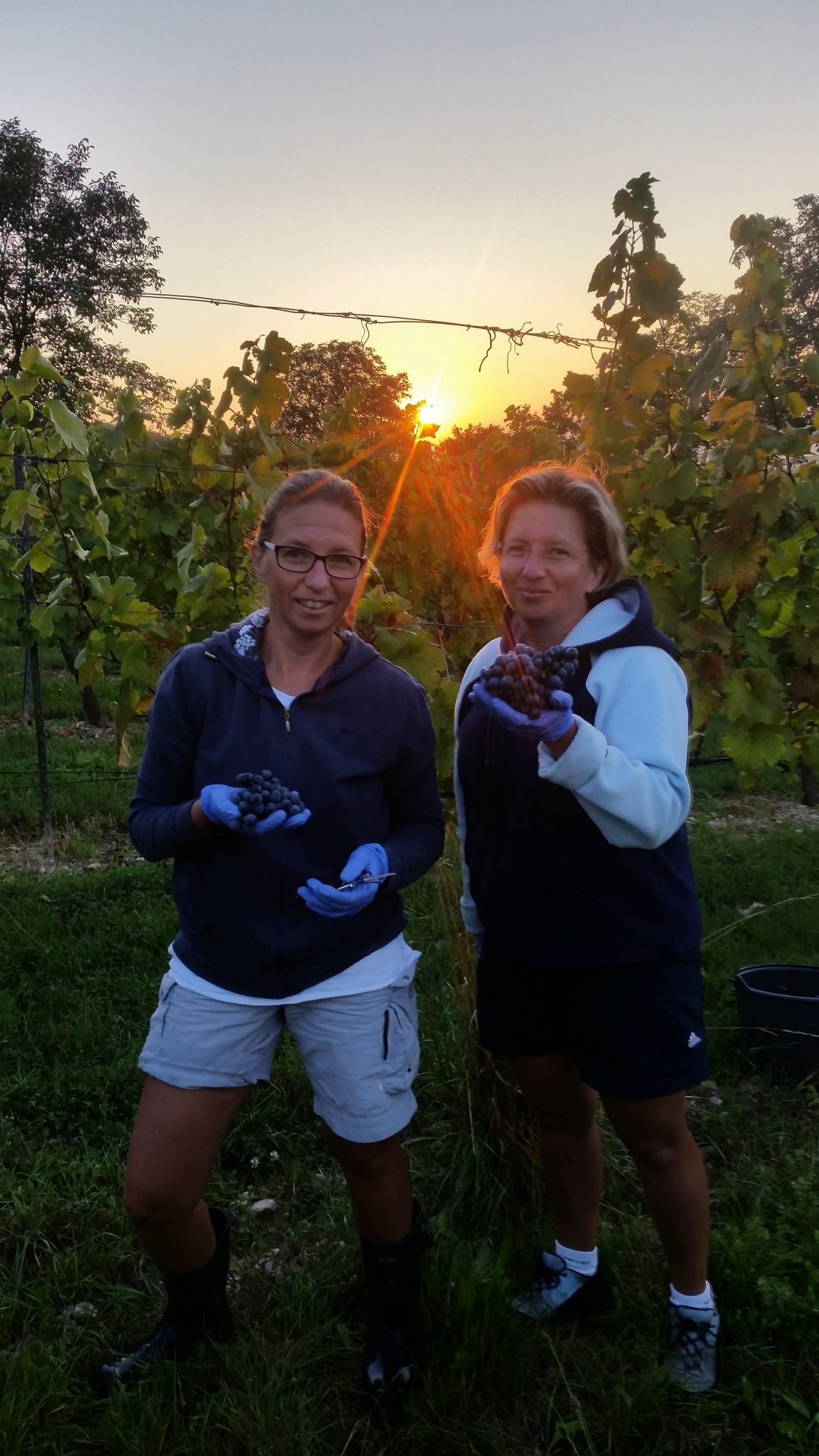 Gerda und Gitti im Weingarten
